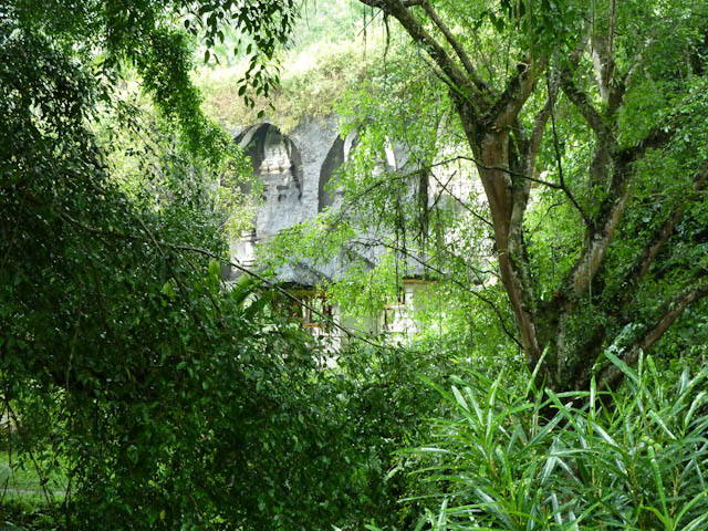 Üppige Flora auf Bali