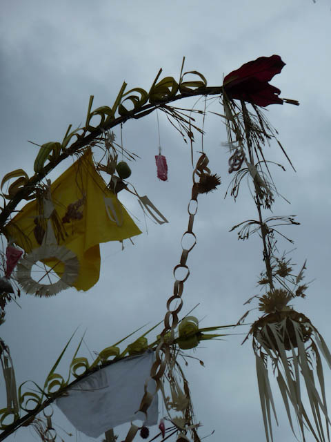 Der Speiseplan der Flughunde besteht aus Pollen, Nektar, Blüten und Früchten.