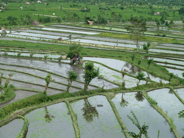 Tirta Gangga