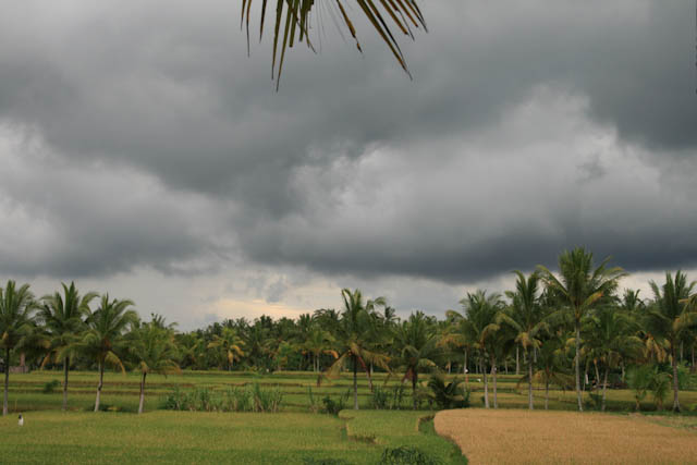 Landschaft bei Ubud